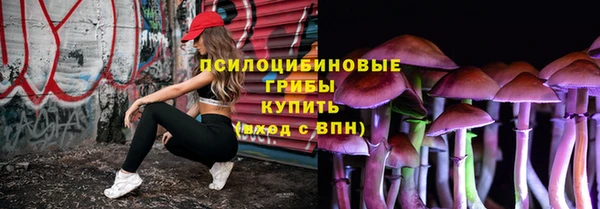 прущая мука Алексин